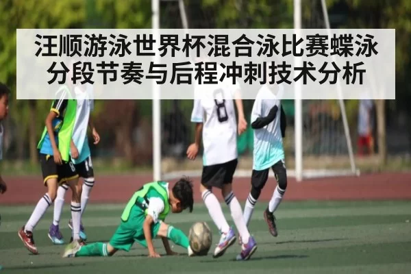 汪顺游泳世界杯混合泳比赛蝶泳分段节奏与后程冲刺技术分析